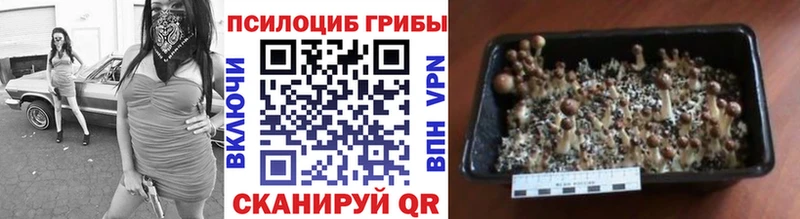 Галлюциногенные грибы Magic Shrooms  Новоульяновск 